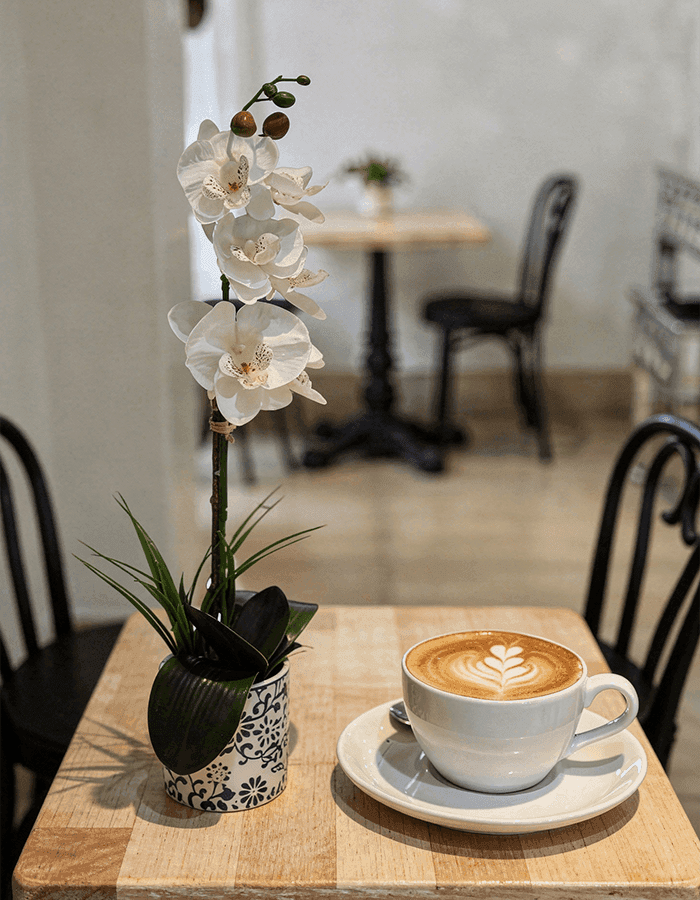 Tardis Cafe interior